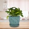 Trendspot Trendspot Tribeca 7.3 in. H X 8.3 in. W X 8.3 in. D X 8 in. D Ceramic Planter Teal CR01178S-08G - alternate 3